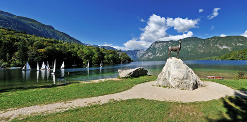 Bohinj lake, Slovenia - 76583587