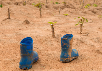 Pair of dirty boots covered in mud in cassava farm