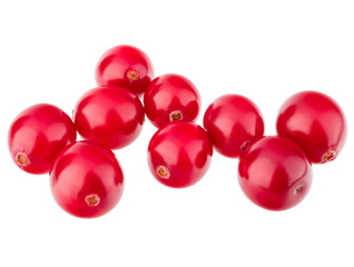 cranberry  isolated on white background cutout