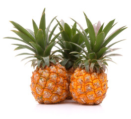 Pineapple tropical fruit or ananas