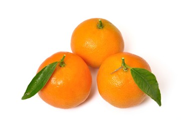 Clementine orange