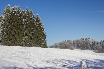 Schneelandschaft mit Schneemännern