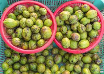 Myrabolan Wood (Terminalia bellirica) herbs in Thailand market