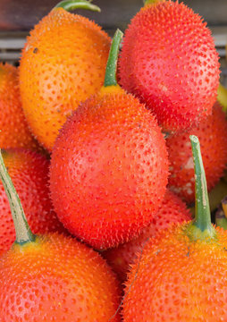 gac red fruit healthy in Thailand market