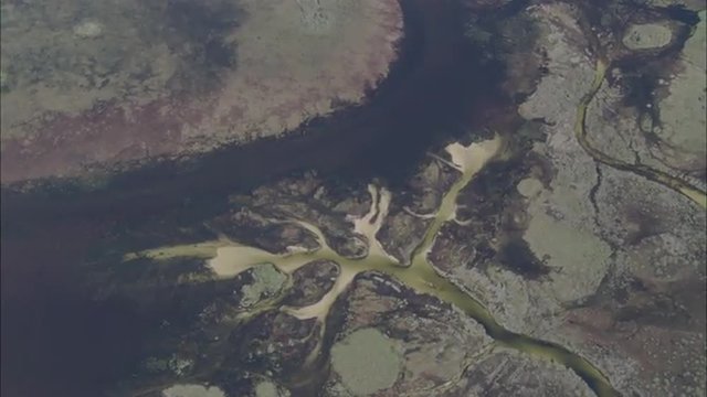 River Delta