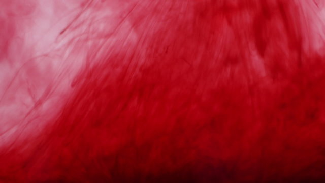 Abstract flow of dark red blood ink being sucked up from water