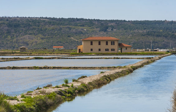 Secovlje salina, secoveljske soline