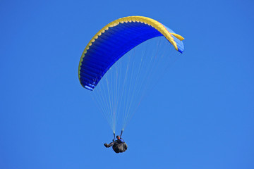 paraglider