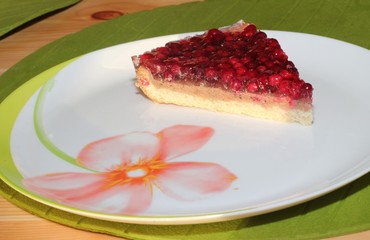 Piece of cake with cranberries