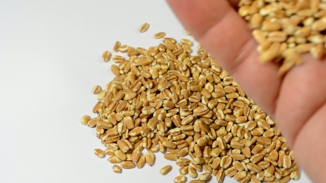 Dinkel, Qualit&auml;tskontrolle