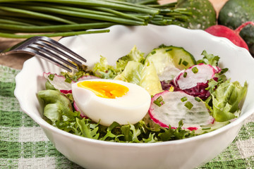 Salad with egg, radish and cucumber.