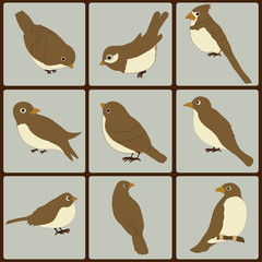 Icons set of cute  birds