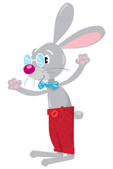 Obraz premium Funny rabbit