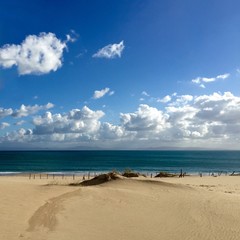Fototapeta na wymiar Awesome Beach in Tarifa, Cadiz. Beautiful sunny day
