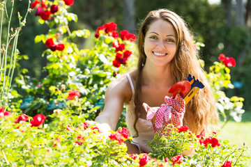 Woman working in roses plants