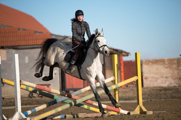 horse jumping