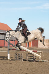 horse jumping