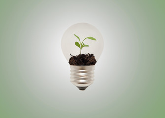 Eco lightbulb