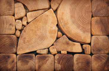 Wood texture of cut tree trunk, close-up