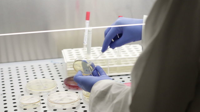 science and research