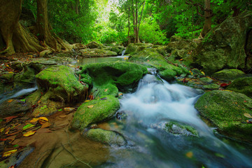 Naklejka na ściany i meble waterfalls in deep forest ,natural green background