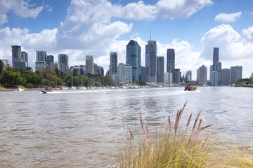 Obraz premium The view from Kangaroo Point in Brisbane City in Queensland.