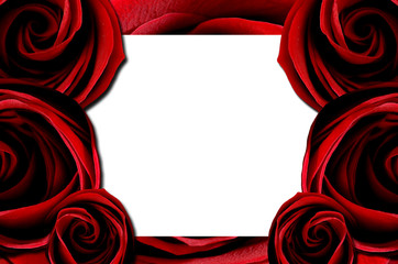 frame with rose for Valentine's day