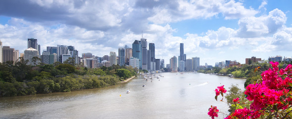 The view from Kangaroo Point in Brisbane City in Queensland. - obrazy, fototapety, plakaty