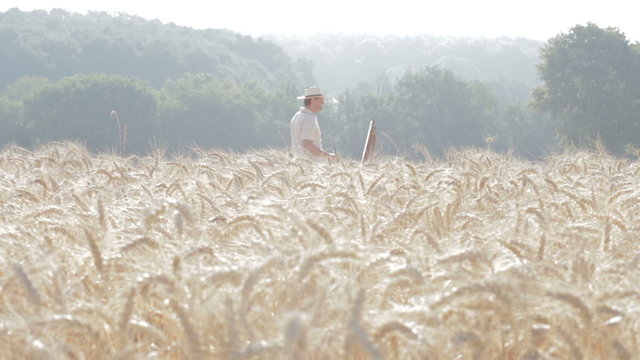 wheat field and painter who paints, change of focus