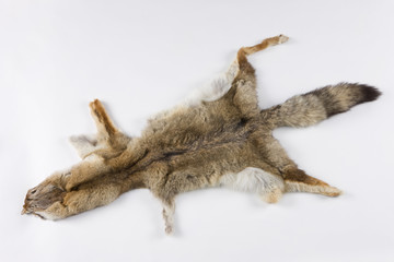 グレイフォックスの毛皮