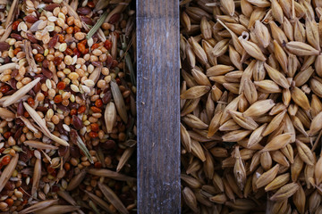 Groats in wooden box closeup