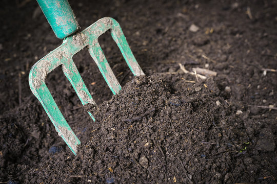 Garden fork turning composted soil