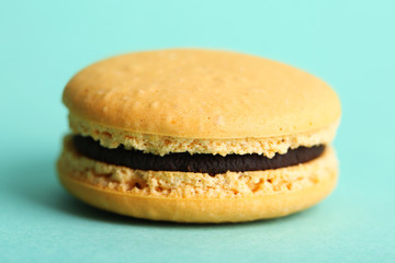 Gentle colorful macaroon on color background