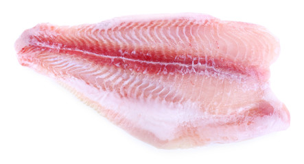 Pangasius fillet isolated on white