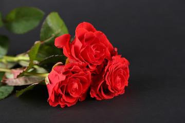 Bouquet of wonderful red roses on dark background
