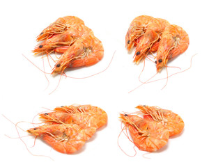 shrimp isolated on white background