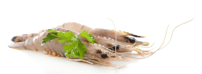 Shrimps isolated on white