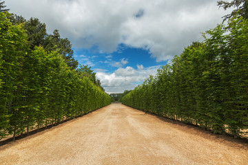 Beautiful garden in Versailles palace, Paris, France