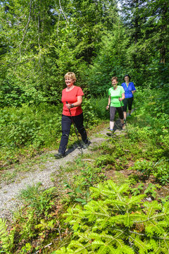 Drei Walkerinnen auf einem Waldtrail