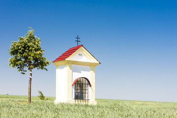 God's torture with grain, Southern Moravia, Czech Republic
