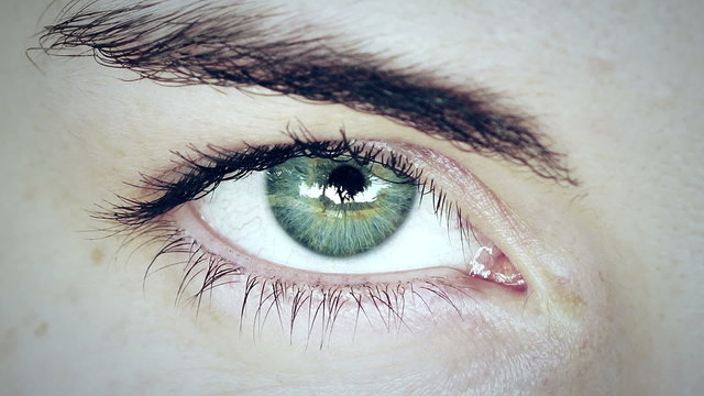 Close up of beautiful green woman's eye