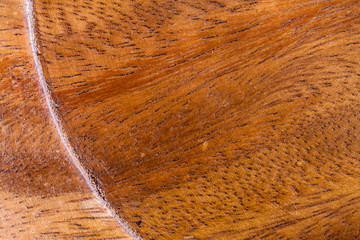 Wall Wood Backgrounds And Textures.