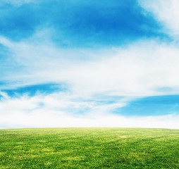 grass and sky