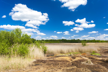 Obraz premium nature reserve called Soos, Czech Republic