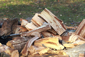 firewood