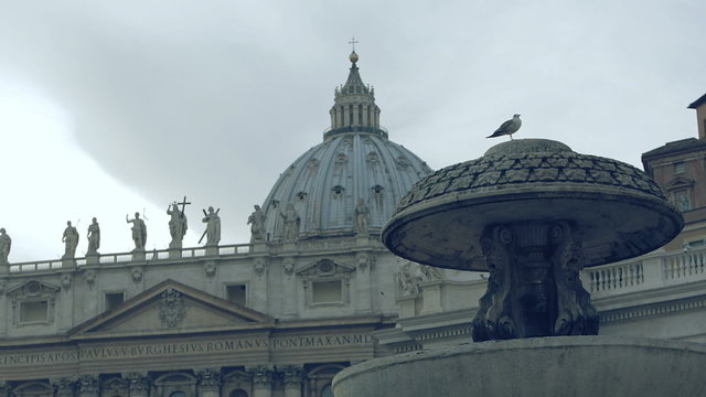 view of St. Peter with a fountain and Seagull