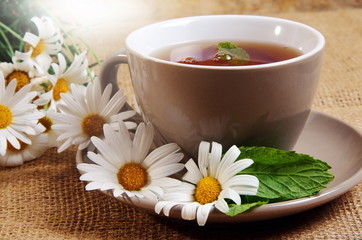 Obraz na płótnie Canvas daisy tea