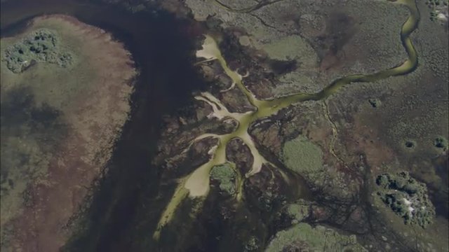 River Delta