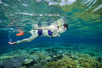 グレートバリアリーフでシュノーケリング