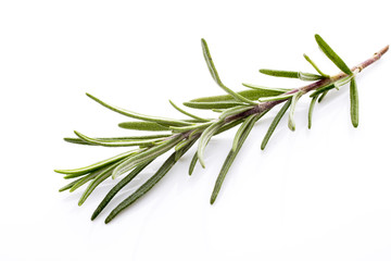 Rosemary.